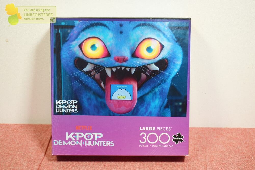 Ceaco KPop Demon Hunters Derpy 300 pc Puzzle #